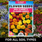 Buy Varieties of Flower Seeds (Pack of 100) + FREE Plant Growth Promoter