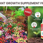 Buy Varieties of Flower Seeds (Pack of 100) + FREE Plant Growth Promoter