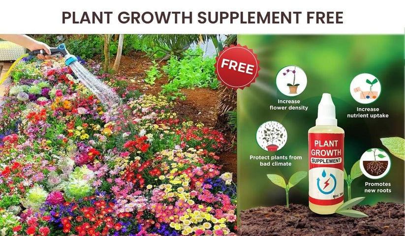 Buy Varieties of Flower Seeds (Pack of 100) + FREE Plant Growth Promoter