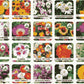 Buy Varieties of Flower Seeds (Pack of 100) + FREE Plant Growth Promoter