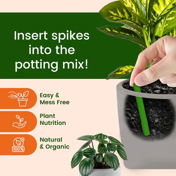 🤯FLAT 70%OFF😱  Growth  Fertilizer Sticks For Plants - 25 Stick Pack of 3